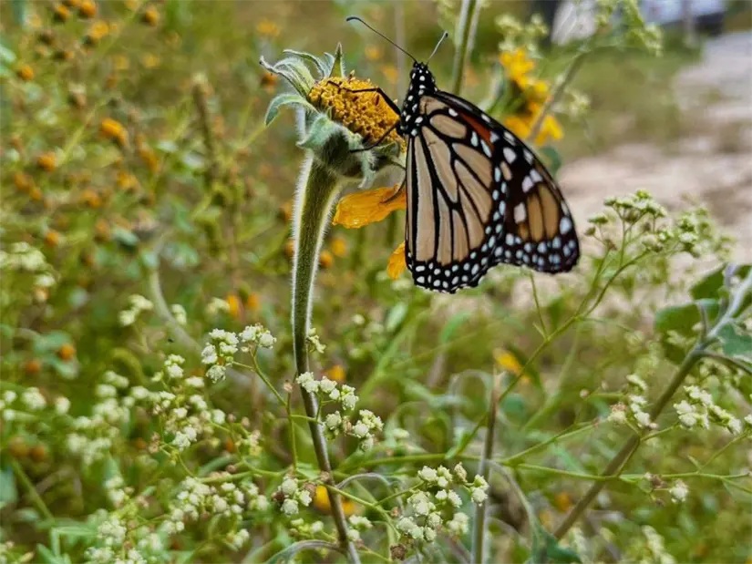 imagen recuadro imagen recuadro