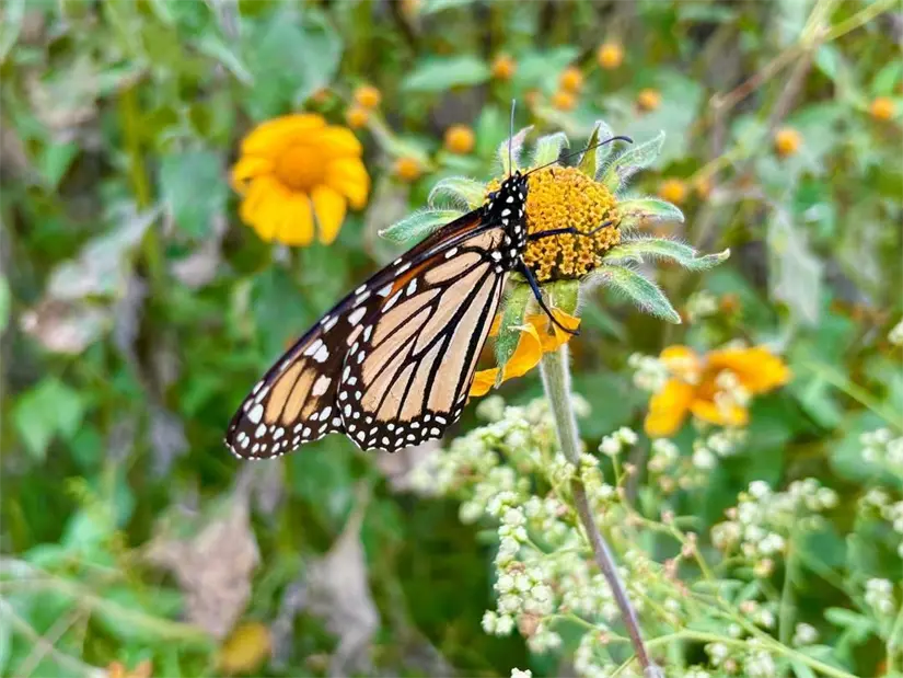 imagen recuadro imagen recuadro