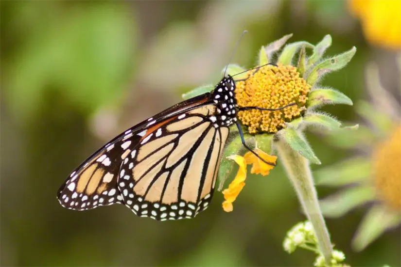 imagen recuadro imagen recuadro