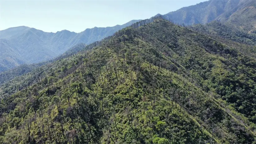 imagen recuadro imagen recuadro