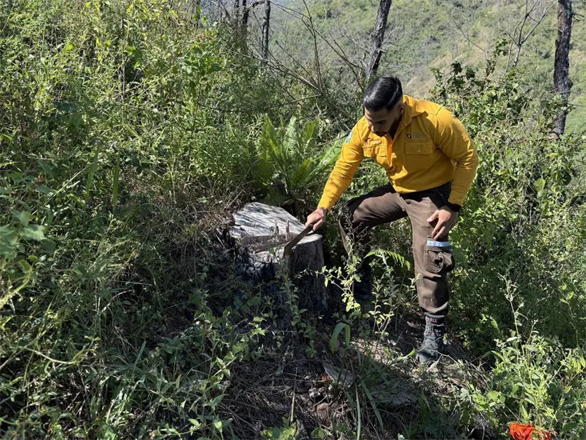 imagen recuadro imagen recuadro