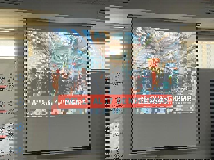 imagen-cuerpo imagen-cuerpo