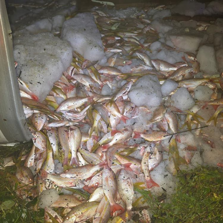 imagen-cuerpo imagen-cuerpo