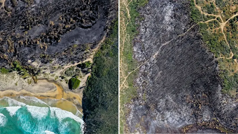 Foto: @peskydrone / Facebook