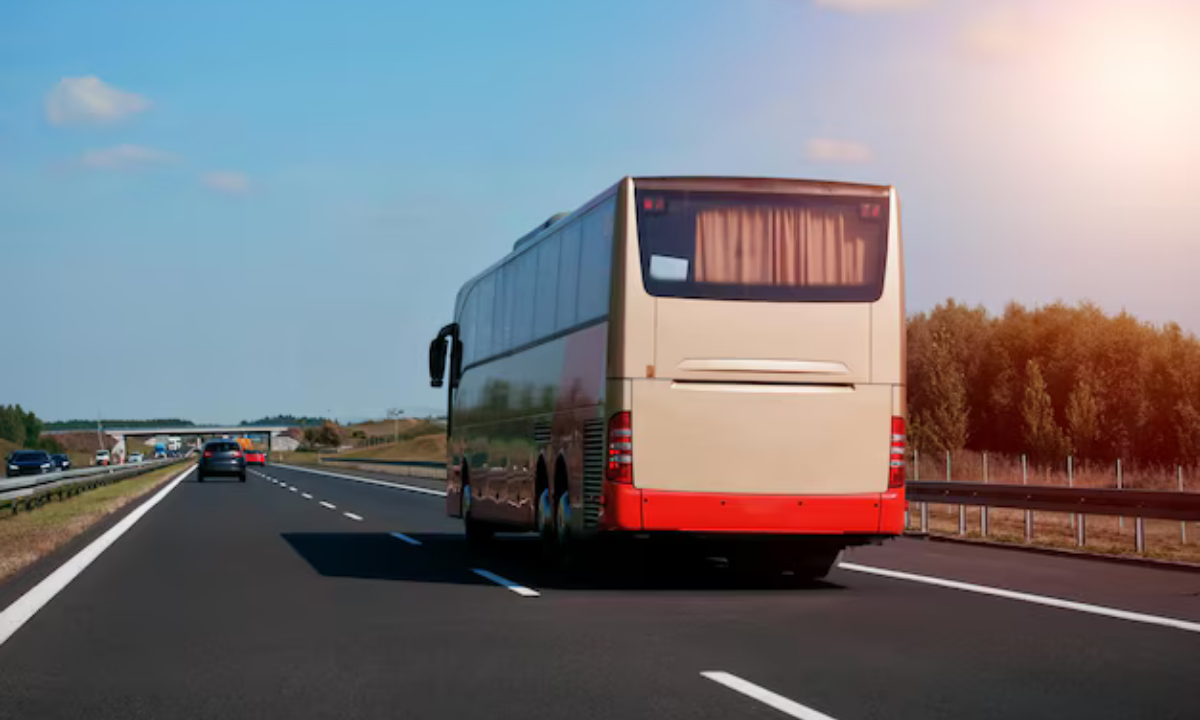 imagen-cuerpo imagen-cuerpo