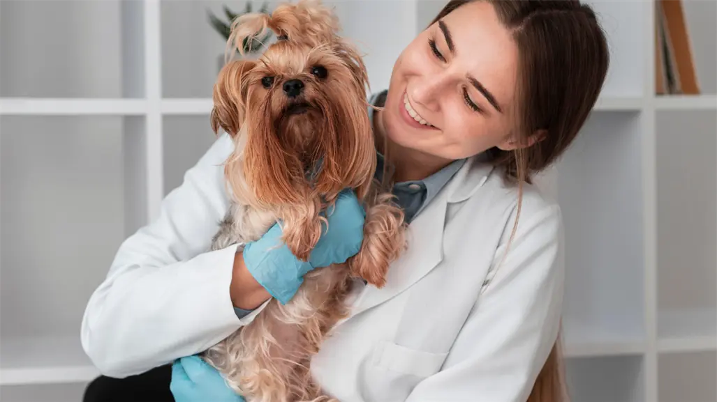 El gobierno de Reynosa presenta el calendario de la brigada médica Patitas Seguras