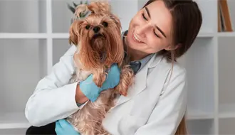 El gobierno de Reynosa presenta el calendario de la brigada médica Patitas Seguras