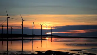 De Tamaulipas a Oaxaca: la ruta eólica con la que Peñoles invierte en energías limpias