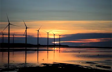 De Tamaulipas a Oaxaca: la ruta eólica con la que Peñoles invierte en energías limpias