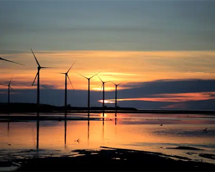 De Tamaulipas a Oaxaca: la ruta eólica con la que Peñoles invierte en energías limpias