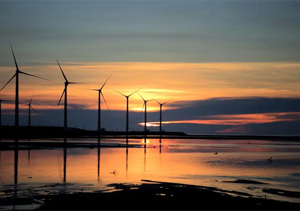 De Tamaulipas a Oaxaca: la ruta eólica con la que Peñoles invierte en energías limpias
