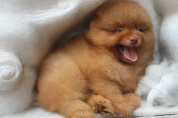 imagen-cuerpo imagen-cuerpo