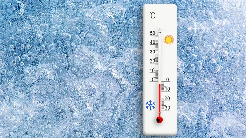 imagen recuadro FOTO: Canva