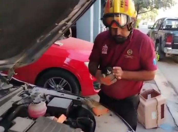 imagen-cuerpo imagen-cuerpo