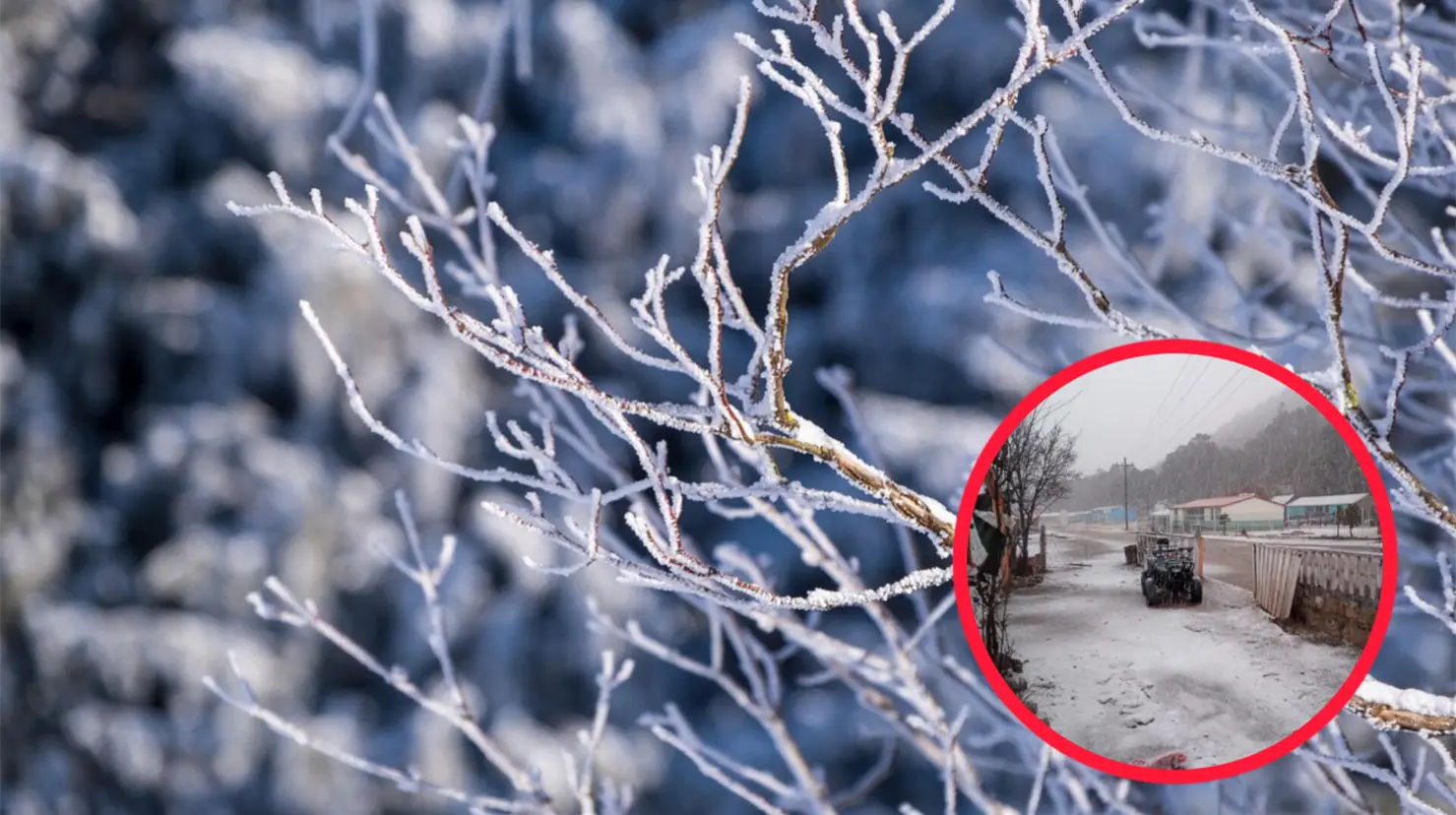 Foto: Pixabay/ Especial | Conoce cuál ha sido la temperatura más baja en el sitio más frío de México y Durango.