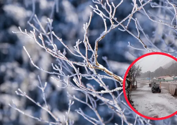 Esta es la temperatura más baja registrada en el sitio más frío de Durango y México