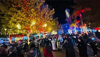 ¿El tradicional nacimiento formará parte del Festival Navideño 2025? Esto se sabe