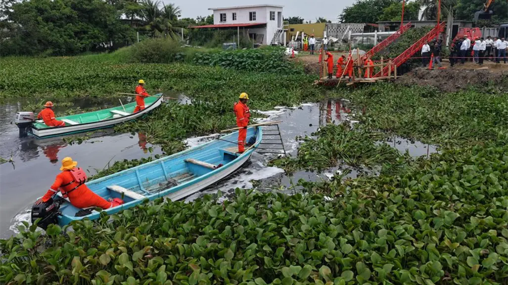 Sanean lagunas en Ciudad Madero: estas son las zonas que quedaron libres de lirio