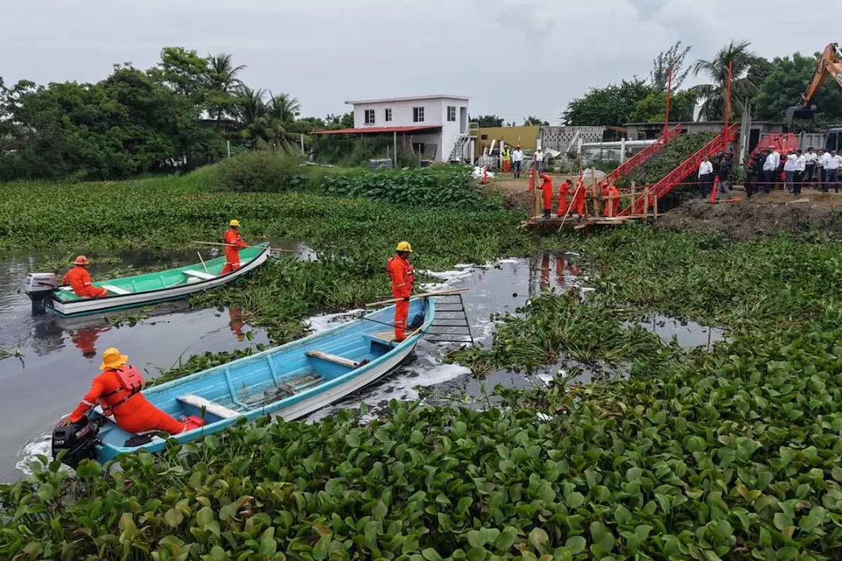 Cuadrillas municipales realizan el retiro de lirio y tul en la laguna La Ilusión de Ciudad Madero. Foto: Axel Hassel