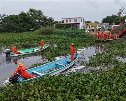Sanean lagunas en Ciudad Madero: estas son las zonas que quedaron libres de lirio