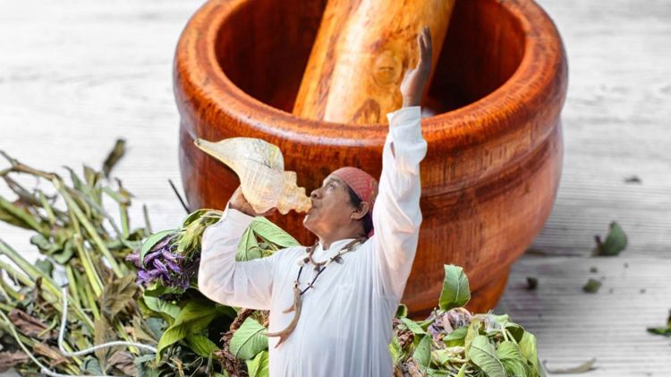 imagen-cuerpo imagen-cuerpo