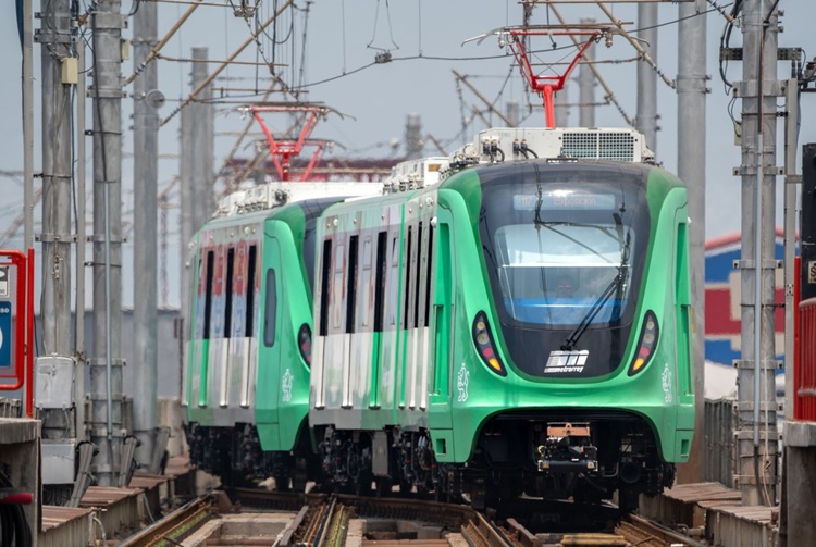 imagen-cuerpo imagen-cuerpo