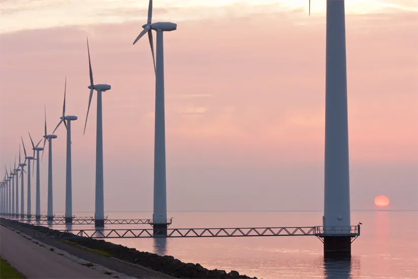 imagen recuadro imagen recuadro