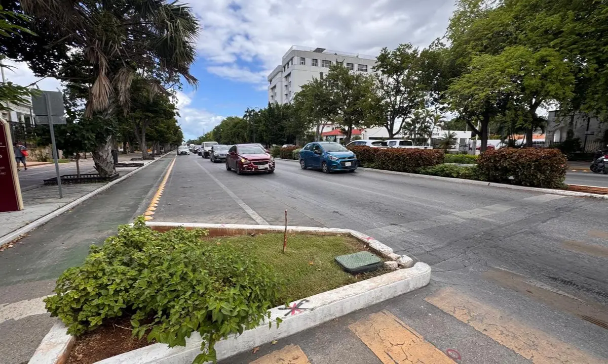 Alaine López recordó que la alcaldesa de Mérida participó en el Consultivo de Tránsito y Vialidad Foto: Alejandra Vargas