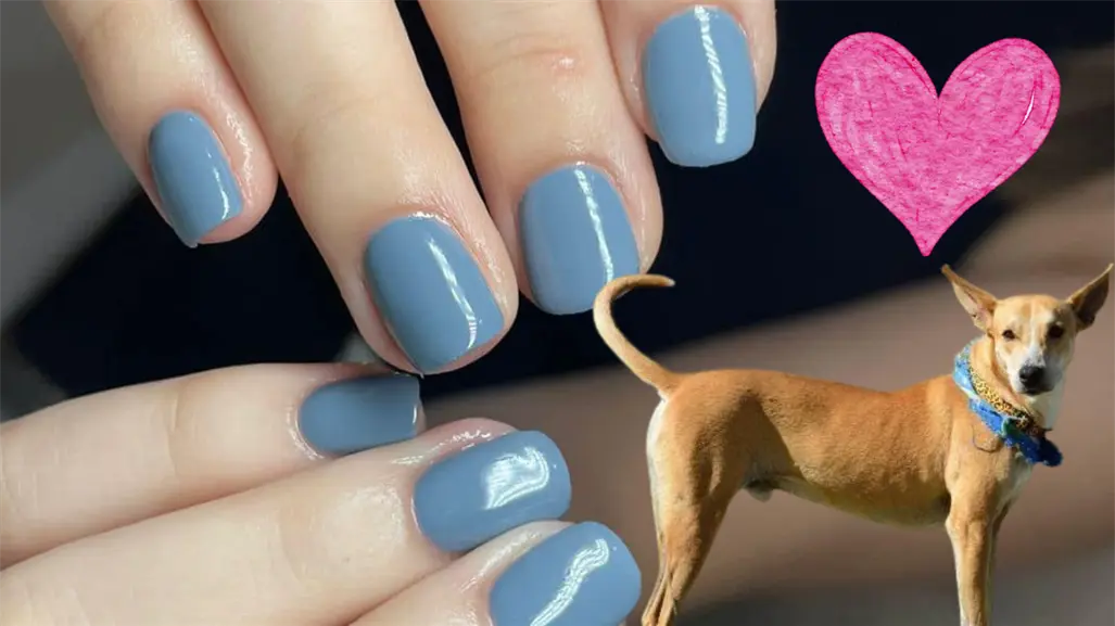 Dona croquetas y llévate un Shellac gratis en Mangata Spa de Ciudad Victoria