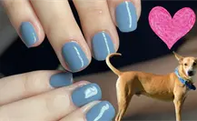 Dona croquetas y llévate un Shellac gratis en Mangata Spa de Ciudad Victoria Dona croquetas y llévate un Shellac gratis en Mangata Spa de Ciudad Victoria