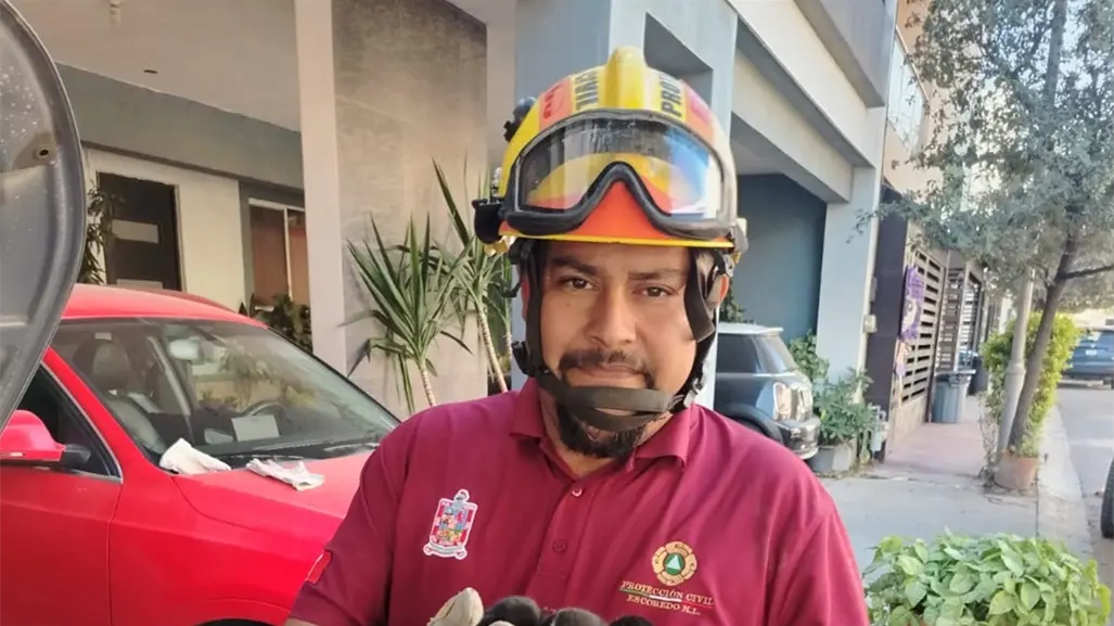 Rescatan a tres gatitos recién nacidos en el motor de un coche en Escobedo