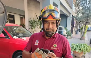 Rescatan a tres gatitos recién nacidos en el motor de un coche en Escobedo