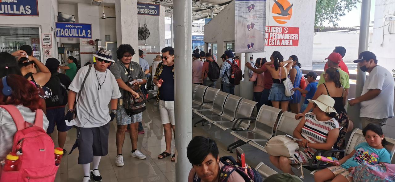 imagen-cuerpo imagen-cuerpo