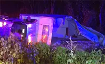 Tres toneladas de pescado quedaron esparcidas tras volcadura en la vía a Celestún