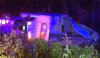 Tres toneladas de pescado quedaron esparcidas tras volcadura en la vía a Celestún