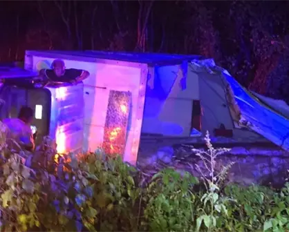 Tres toneladas de pescado quedaron esparcidas tras volcadura en la vía a Celestún