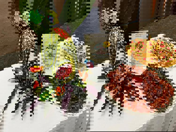 imagen-cuerpo imagen-cuerpo