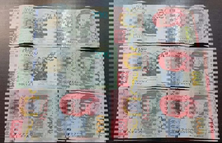 imagen-cuerpo imagen-cuerpo