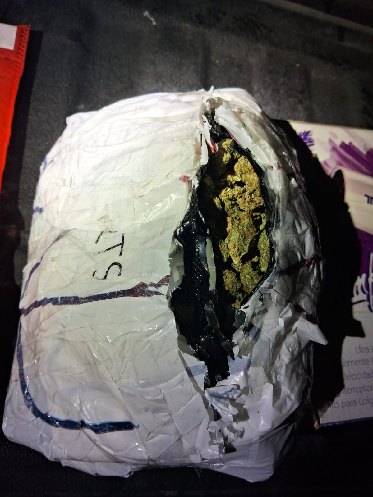 imagen-cuerpo imagen-cuerpo