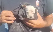 Agua y Drenaje de Monterrey rescata a cachorrita atorada en drenaje en Escobedo