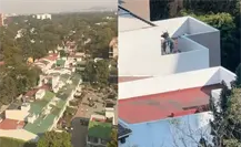 Vaca en azotea de CDMX: el video viral de TikTok ¿es real o no? Vaca en azotea de CDMX: el video viral de TikTok ¿es real o no?