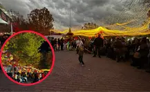 Festival Navideño 2025: ¿Cuál será el costo por entrar? Festival Navideño 2025: ¿Cuál será el costo por entrar?