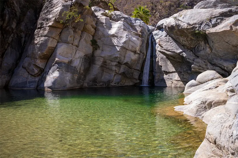 imagen recuadro Foto: Los Sabores de México.