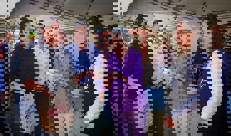 imagen-cuerpo imagen-cuerpo