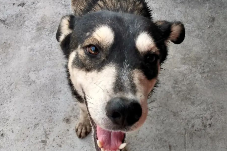 imagen-cuerpo imagen-cuerpo