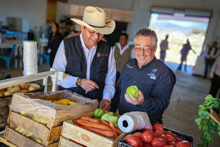 imagen-cuerpo imagen-cuerpo