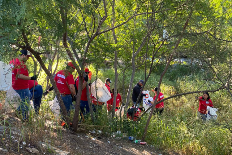 imagen-cuerpo imagen-cuerpo