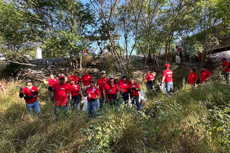 imagen-cuerpo imagen-cuerpo