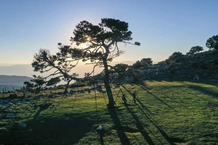 imagen-cuerpo imagen-cuerpo