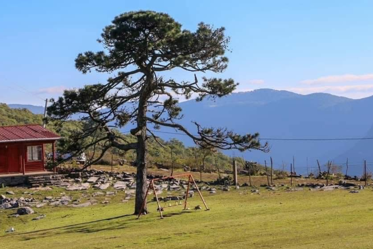 imagen-cuerpo imagen-cuerpo